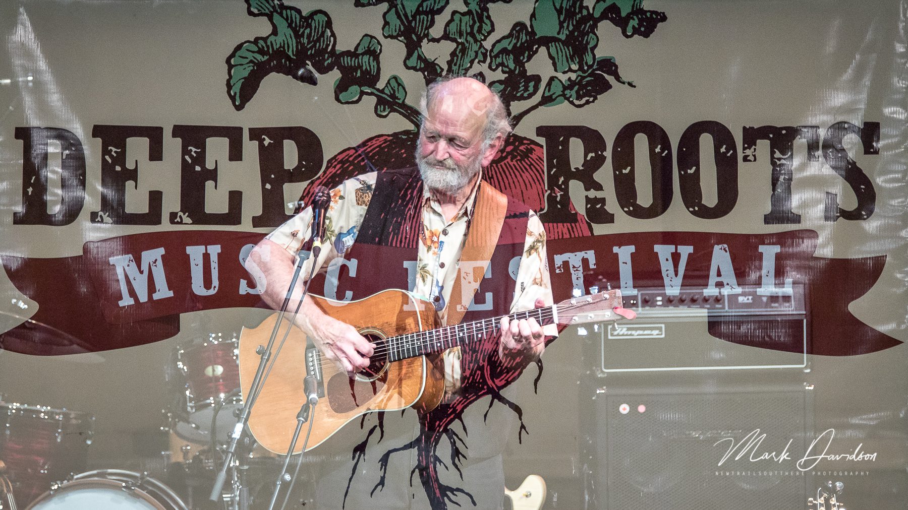 Festival Photos | Deep Roots Music Cooperative