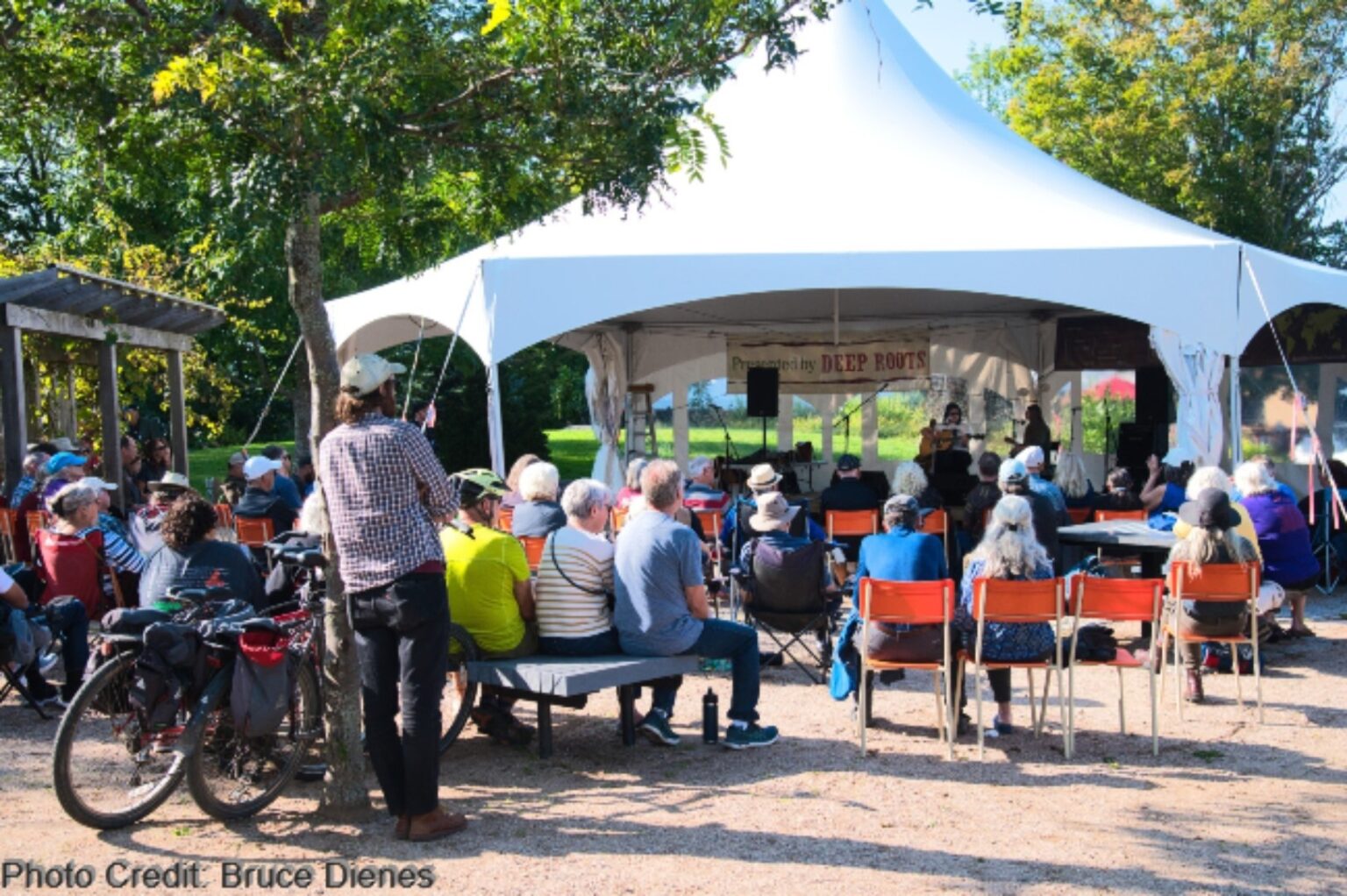 Festival Photos 2023 Deep Roots Music Cooperative